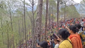 Rishikesh Protest News: Tree Felling Halted After Massive Public Demonstrations